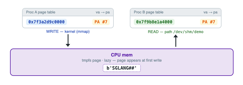 CPU