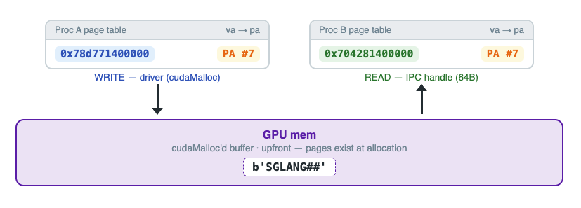 GPU
